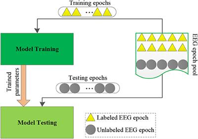 Seizure Classification From EEG Signals Using an Online Selective Transfer TSK Fuzzy Classifier With Joint Distribution Adaption and Manifold Regularization